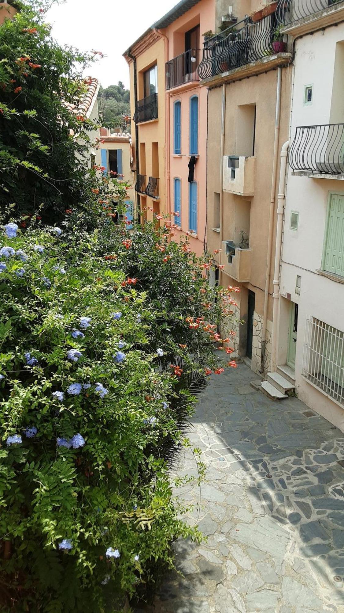Holiday home Jetez L'ancre Dans Notre Maison De Pecheur ! Collioure